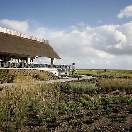 Курортный комплекс Enjoy Romo 4*